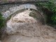 Maltempo: apprensione per i corsi d'acqua di Giustenice, Tovo San Giacomo e Pietra Ligure (FOTO e VIDEO)