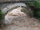Maltempo: apprensione per i corsi d'acqua di Giustenice, Tovo San Giacomo e Pietra Ligure (FOTO e VIDEO) Maltempo: apprensione per i corsi d'acqua di Giustenice, Tovo San Giacomo e Pietra Ligure (FOTO e VIDEO)