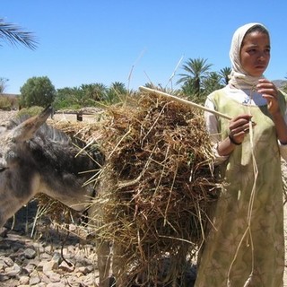 Savona: l’integrazione scolastica dei bambini con disabilità, limiti e opportunità delle realtà italiana e marocchina