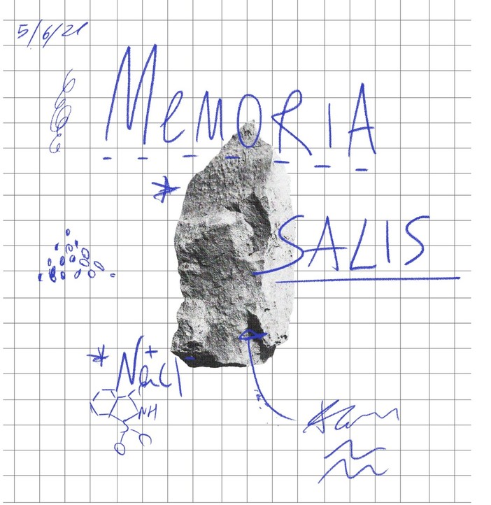 "De Perspective, Memoria Salis": una collettiva in Stanza Rada a Laigueglia "De Perspective, Memoria Salis": una collettiva in Stanza Rada a Laigueglia