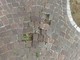 Qual è lo stato di salute dei marciapiedi di Albenga? Qual è lo stato di salute dei marciapiedi di Albenga?