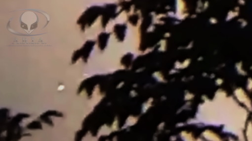 L'associazione A.R.I.A. indaga su nuovi avvistamenti di Ufo a Savona