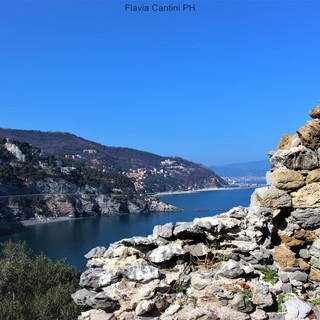 Flavia Cantini espone a Savona