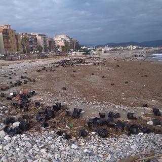 Immagine spiaggia di Borghetto Santo Spirito