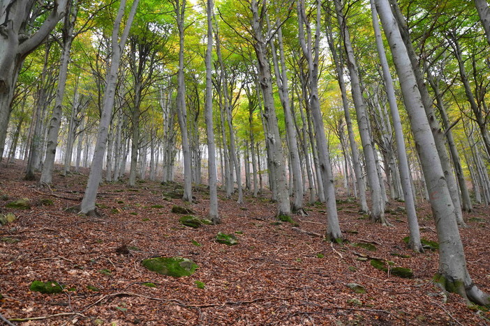Turismo sostenibile, via libera ai fondi per “La Liguria degli Anelli”: 73 km di cicloturismo nel Savonese tra mare e montagna