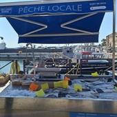 Piccolo mercato del pesce al porto di Nizza. Fotografie di Danilo Radaelli