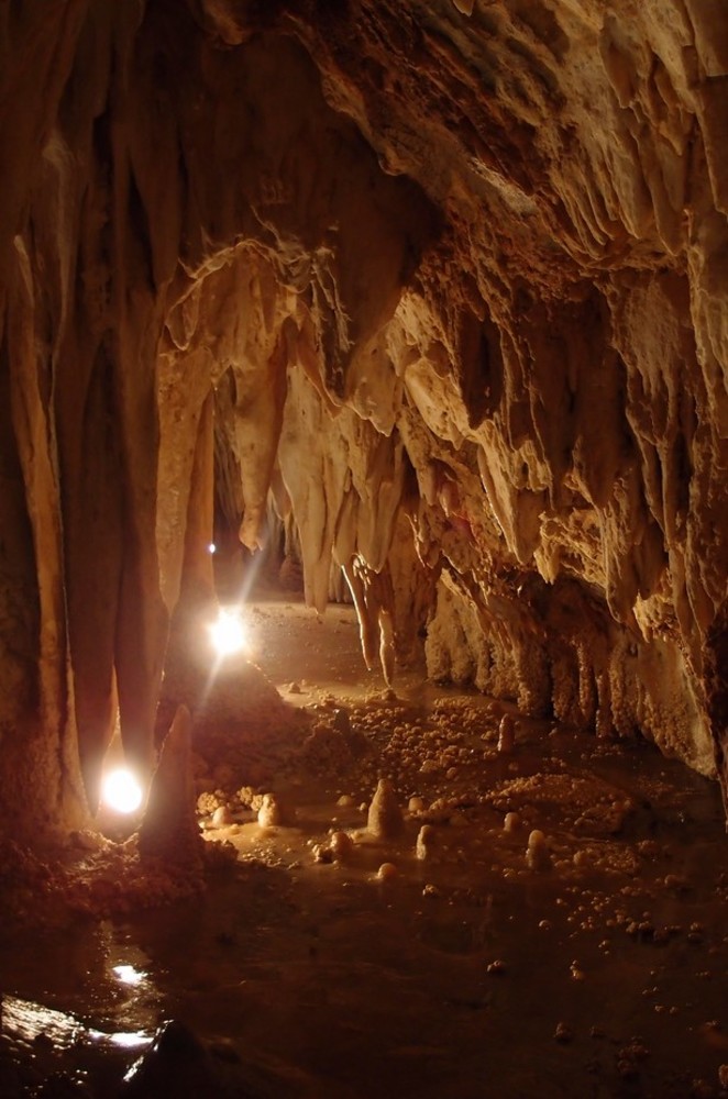 Immagine dell'iniziativa Immagine dell'iniziativa