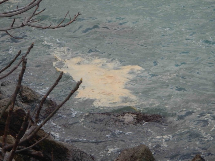 Più aumentano i dubbi su MPS, maggiore è la velocità di scarico di ignoti inerti a mare Più aumentano i dubbi su MPS, maggiore è la velocità di scarico di ignoti inerti a mare