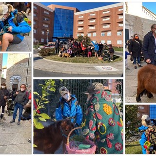 Una ‘trekkinata’ da Castelbianco ad Albenga con 3 cavallini e 2 cani, Malvina Abbattista: "Voglio portare la pet therapy negli ospedali" (FOTO e VIDEO)