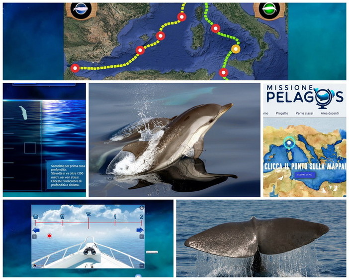 Oggi è la 'Giornata mondiale delle balene': con 'Missione Pelagos al via il progetto per le scuole Oggi è la 'Giornata mondiale delle balene': con 'Missione Pelagos al via il progetto per le scuole