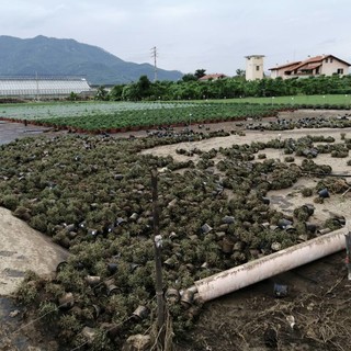 Foto tratte dalla pagina Facebook "Stefano Mai" Foto tratte dalla pagina Facebook "Stefano Mai"