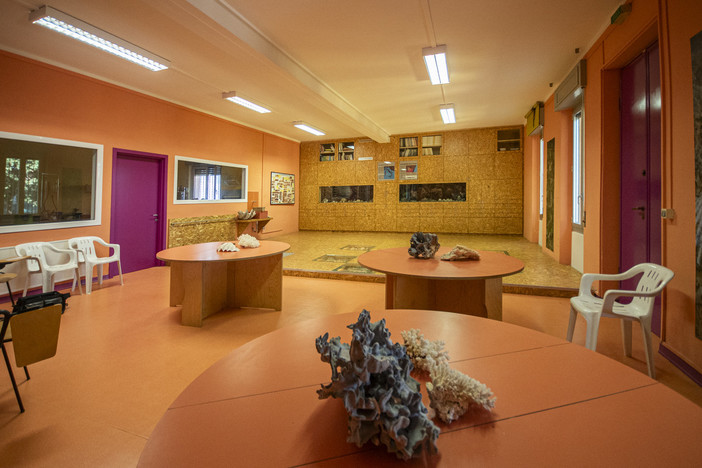 Rimozione dell’amianto e rifacimento della copertura del Museo “Silvio Lai”: approvato a Ceriale il progetto esecutivo Rimozione dell’amianto e rifacimento della copertura del Museo “Silvio Lai”: approvato a Ceriale il progetto esecutivo