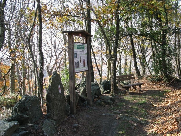 Varazze, chiude la mostra del Museo Archeologico dell'Alpicella: "Una decisione politica che penalizza la cultura e i volontari" Varazze, chiude la mostra del Museo Archeologico dell'Alpicella: "Una decisione politica che penalizza la cultura e i volontari"