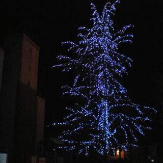 Millesimo: torna l'antica tradizione dell'Albero di Natale in piazza IV Novembre