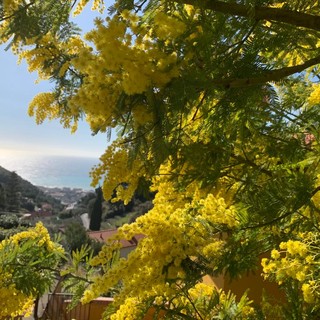 Varazze pronta a celebrare la donna: gli eventi organizzati per l’8 marzo