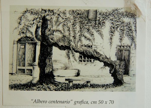 Loano: mostra personale di pittura di Maria Pia Di Prossimo Loano: mostra personale di pittura di Maria Pia Di Prossimo