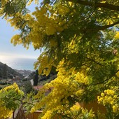 Alassio celebra la Giornata Internazionale della Donna con due importanti iniziative