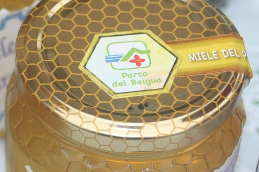 Savona: "Varroa: come difendere gli alveari"