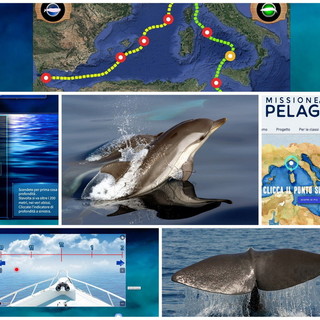 Oggi è la 'Giornata mondiale delle balene': con 'Missione Pelagos al via il progetto per le scuole