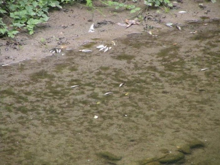 Tre brevissime riflessioni