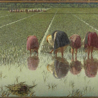 Il Divisionismo in Italia: la luce, il colore e la rivoluzione artistica