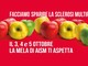Cisano sul Neva aderisce alla campagna per la ricerca contro la Sclerosi Multipla: nel weekend il banchetto “Mela Aism” Cisano sul Neva aderisce alla campagna per la ricerca contro la Sclerosi Multipla: nel weekend il banchetto “Mela Aism”