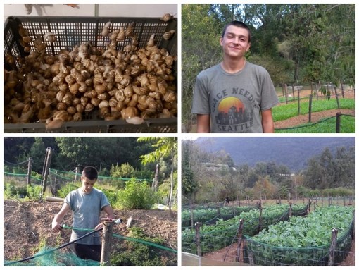 Chiusura serale dei ristoranti e conseguenze per la filiera, la storia di Matteo Passino, allevatore di lumache: "Lo Stato sostenga anche noi"