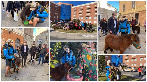 Una ‘trekkinata’ da Castelbianco ad Albenga con 3 cavallini e 2 cani, Malvina Abbattista: &quot;Voglio portare la pet therapy negli ospedali&quot; (FOTO e VIDEO)