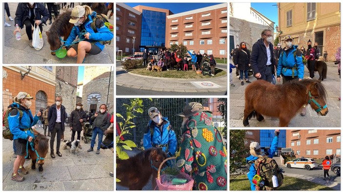 Una ‘trekkinata’ da Castelbianco ad Albenga con 3 cavallini e 2 cani, Malvina Abbattista: "Voglio portare la pet therapy negli ospedali" (FOTO e VIDEO)