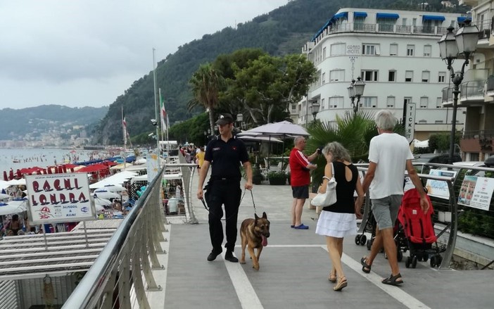 Alassio, controllo del territorio da parte dei carabinieri: impegnato anche il nucleo cinofili di Villanova d'Albenga (FOTO) Alassio, controllo del territorio da parte dei carabinieri: impegnato anche il nucleo cinofili di Villanova d'Albenga (FOTO)