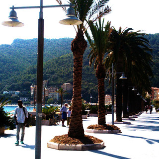 Ordinanza di divieto di balneazione a Noli. Il sindaco: "Misura precauzionale ma il disagio è già risolto"