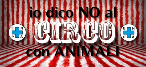 Savona, Enpa: "Il triste spettacolo del circo con animali" Savona, Enpa: "Il triste spettacolo del circo con animali"