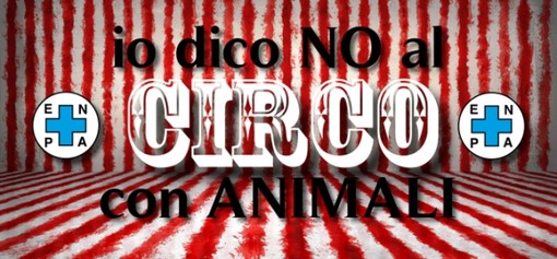 Savona, Enpa: &quot;Il triste spettacolo del circo con animali&quot;
