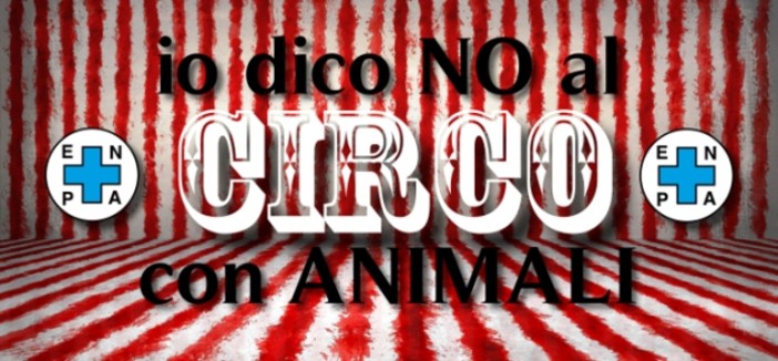 Savona, Enpa: "Il triste spettacolo del circo con animali"