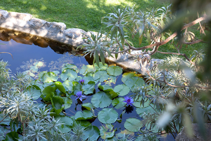 Alassio, sabato 18 e domenica 19 visite ai Giardini di Villa della Pergola
