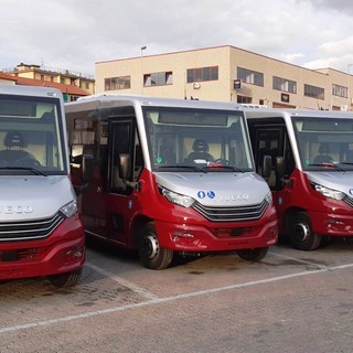 Tpl Linea prosegue il rinnovamento della flotta: in arrivo altri 4 nuovi bus per il trasporto extraurbano