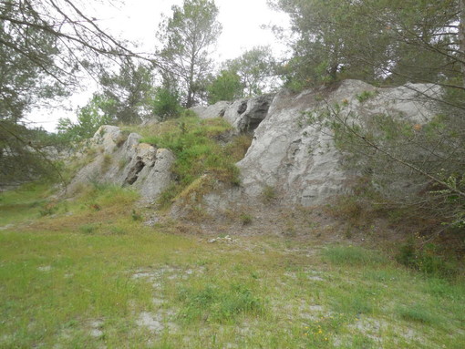 Nuova "Oasi WWF" a Villanova di Albenga: il plauso dei Verdi savonesi