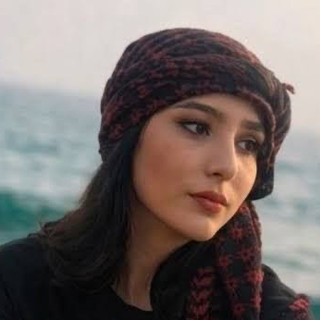 Consiglio regionale unanime per la liberazione di Najmeh Amini, condannata a morte in Iran per un contenuto sui social