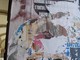 Nicolick: "Stracciati e vandalizzati i manifesti commemorativi di Giuseppina Ghersi a Savona" Nicolick: "Stracciati e vandalizzati i manifesti commemorativi di Giuseppina Ghersi a Savona"