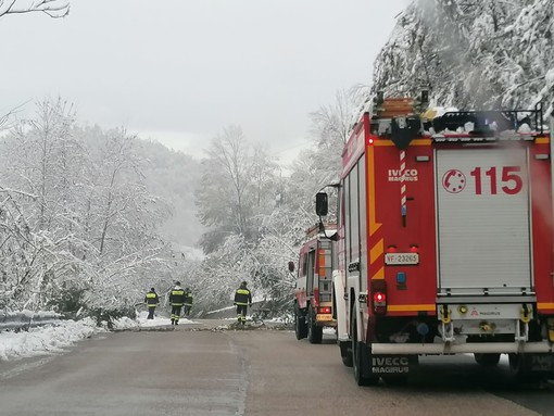 Giusvalla: alberi caduti e qualche zona senza corrente elettrica (FOTO) Giusvalla: alberi caduti e qualche zona senza corrente elettrica (FOTO)