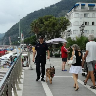 Alassio, controllo del territorio da parte dei carabinieri: impegnato anche il nucleo cinofili di Villanova d'Albenga (FOTO)