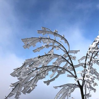 Arriva il freddo in Liguria: rischio gelicidio nelle vallate dell’entroterra
