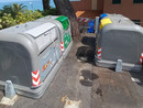 Borgio Verezzi, il sindaco sul nuovo sistema di raccolta rifiuti: "Vogliamo un ambiente più pulito, in questi anni peggiorata la percentuale della differenziata" Borgio Verezzi, il sindaco sul nuovo sistema di raccolta rifiuti: "Vogliamo un ambiente più pulito, in questi anni peggiorata la percentuale della differenziata"
