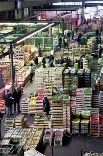 Albenga: tutte le novità dell'Ortofrutticola del Albenga: tutte le novità dell'Ortofrutticola del