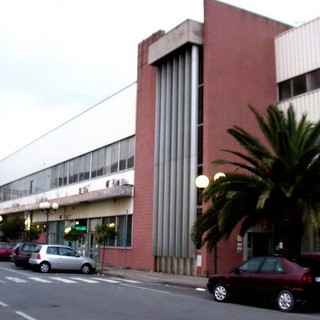 Albenga: filiera floricola, riunione delle associazioni per nuove iniziative