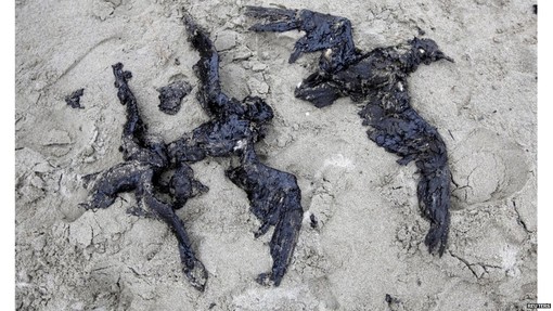 Tirreno Power e l'olio combustibile denso, che guardacaso è ai minimi Tirreno Power e l'olio combustibile denso, che guardacaso è ai minimi