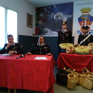 Operazione &quot;Green Country&quot;, i carabinieri della compagnia di Alassio sequestrano cannabis 'light' destinata allo spaccio (FOTO e VIDEO)