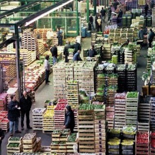 Albenga: tutte le novit&amp;agrave; dell&amp;#039;Ortofrutticola del