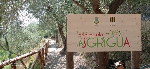 Albisola torna ad investire sull'orto sociale "A Sgrigua"