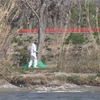 Albenga: omicidio del Centa, Garcia condannato a 6 anni e mezzo